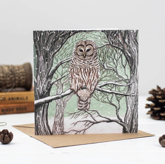 Barred Owl Greeting Card