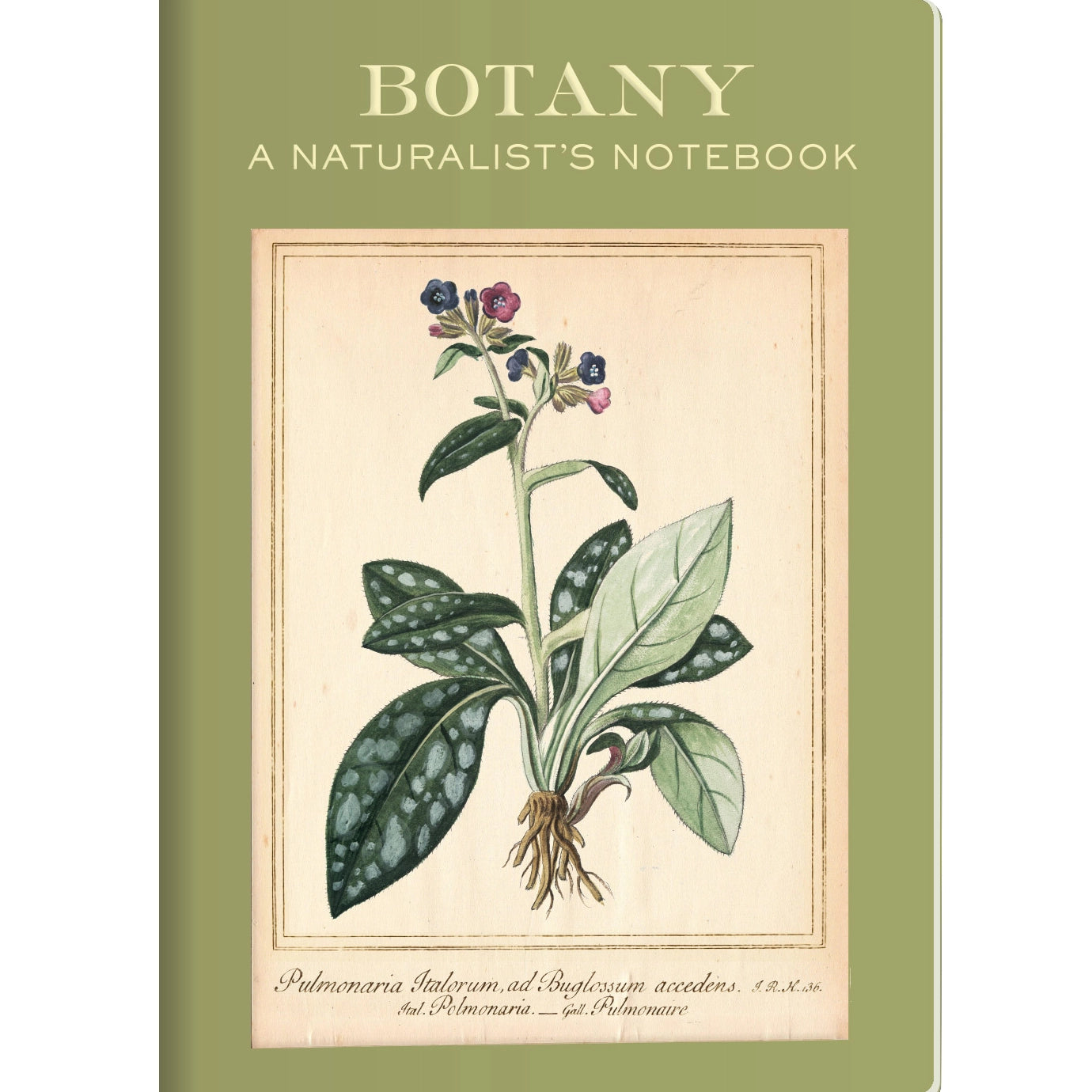 Botany Naturalist's Notebook