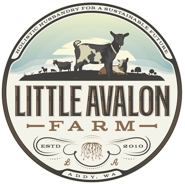 Mineral Buffet by Little Avalon Farm